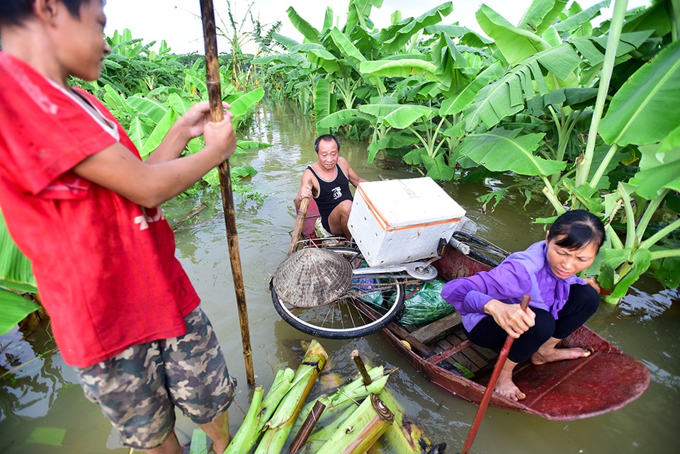 Hà Nội: Bé trai 15 tuổi đóng bè chuối đưa mẹ và chị đi chợ hàng ngày - 9
Lương chống bè đi qua thuyền của một gia đình khác ở bãi giữa.