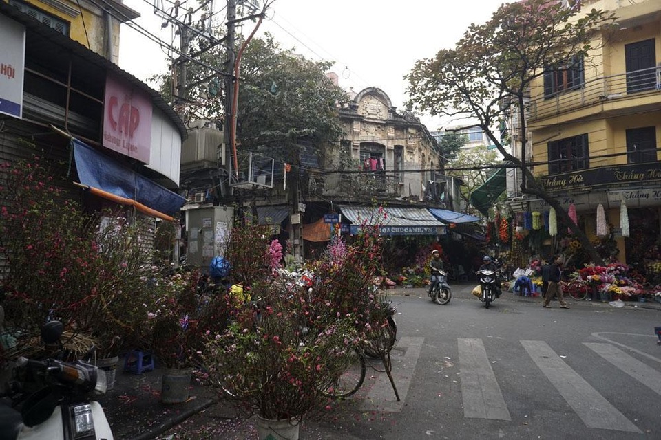 
Chợ hoa Hàng Lược đã có nhiều người mang đào về bán dù chu chính thức khai mạc.
