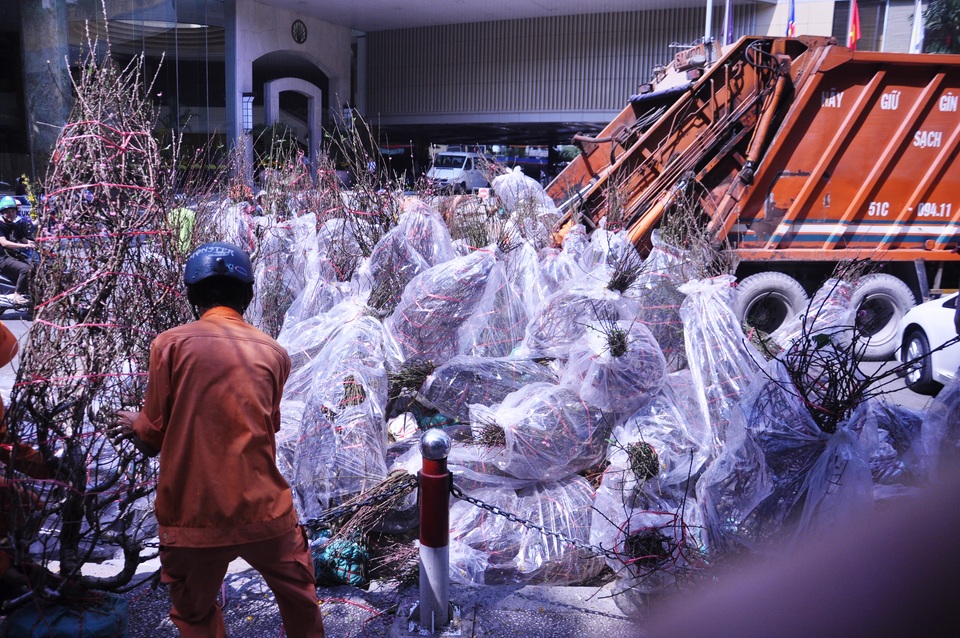 Cuối ngày 30 Tết, hoa, cây cảnh đồng loạt “xả hàng” - 9 Cuối ngày 30 Tết, hoa, cây cảnh đồng loạt “xả hàng” - 9