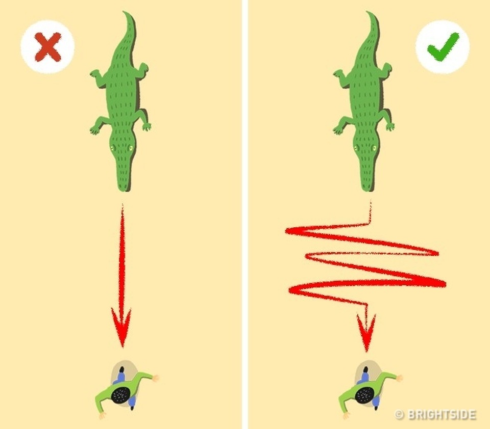 8 mẹo sinh tồn ai cũng nên biết để cứu mình cứu người khi hiểm nguy - 3 8 mẹo sinh tồn ai cũng nên biết để cứu mình cứu người khi hiểm nguy - 3