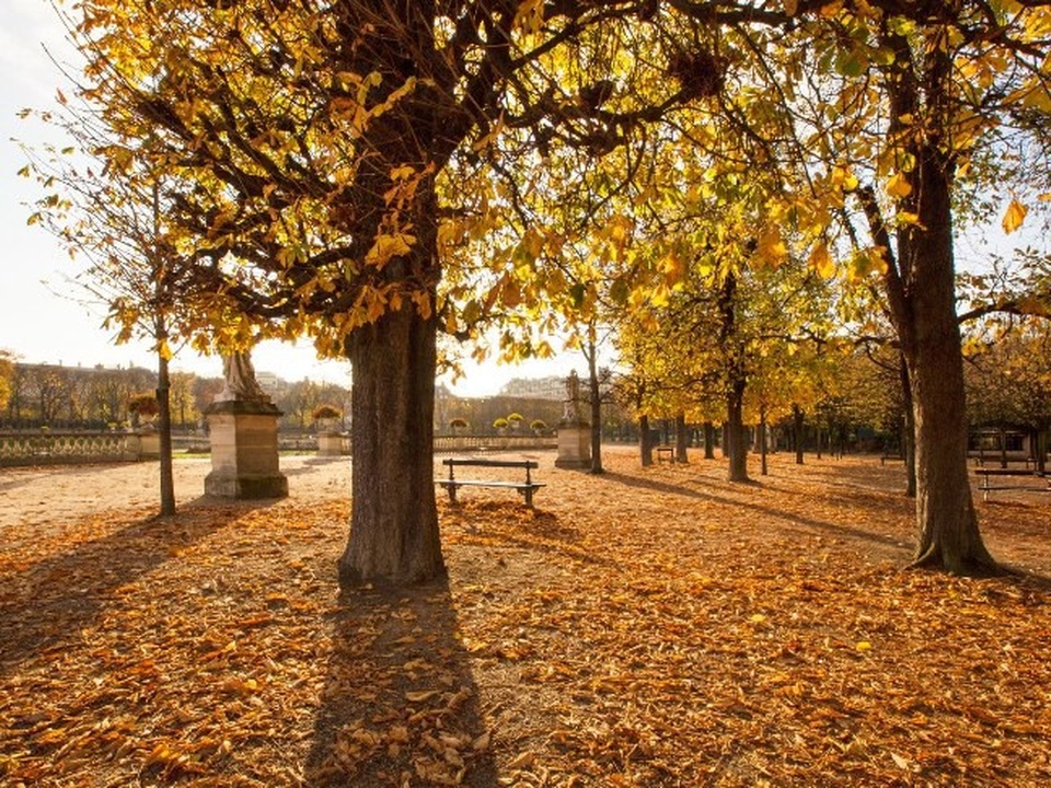 15 công viên tuyệt đẹp khiến bất kỳ ai cũng một lần muốn đến - 8