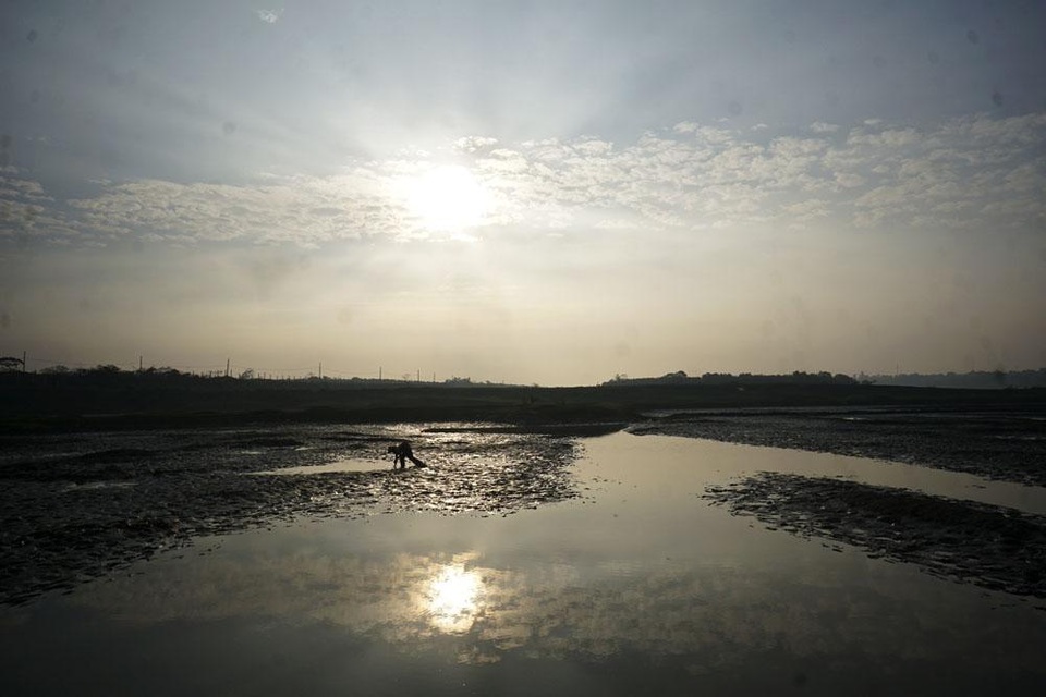 
Một người đi bắt cá ven sông Hồng trong buổi bình minh.
