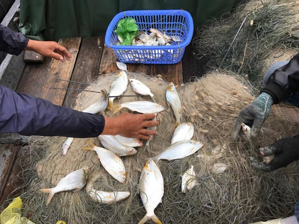 Có một hòn đảo hoang sơ tuyệt đẹp để "trốn Tết" ở Quảng Ninh - 6 Có một hòn đảo hoang sơ tuyệt đẹp để "trốn Tết" ở Quảng Ninh - 6