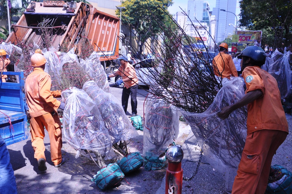 Cuối ngày 30 Tết, hoa, cây cảnh đồng loạt “xả hàng” - 10 Cuối ngày 30 Tết, hoa, cây cảnh đồng loạt “xả hàng” - 10