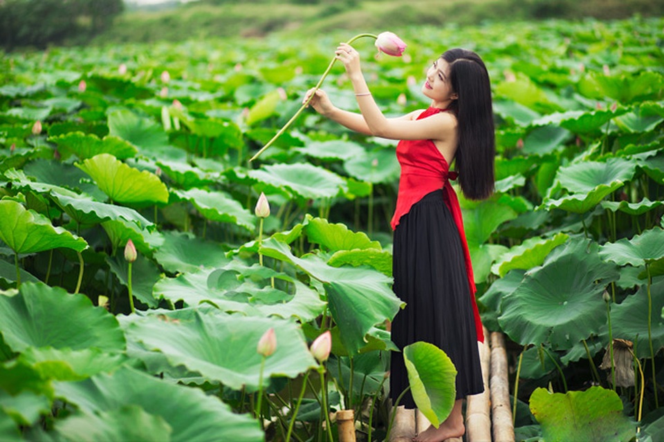 Gái trẻ buông lơi dây yếm, lả lướt khoe sắc cùng sen - 10
Dưới sự gợi ý của các phó nháy chuyên nghiệp, các cô gái dễ dàng chọn được góc ảnh đẹp nhất (ảnh: Pai Trần).