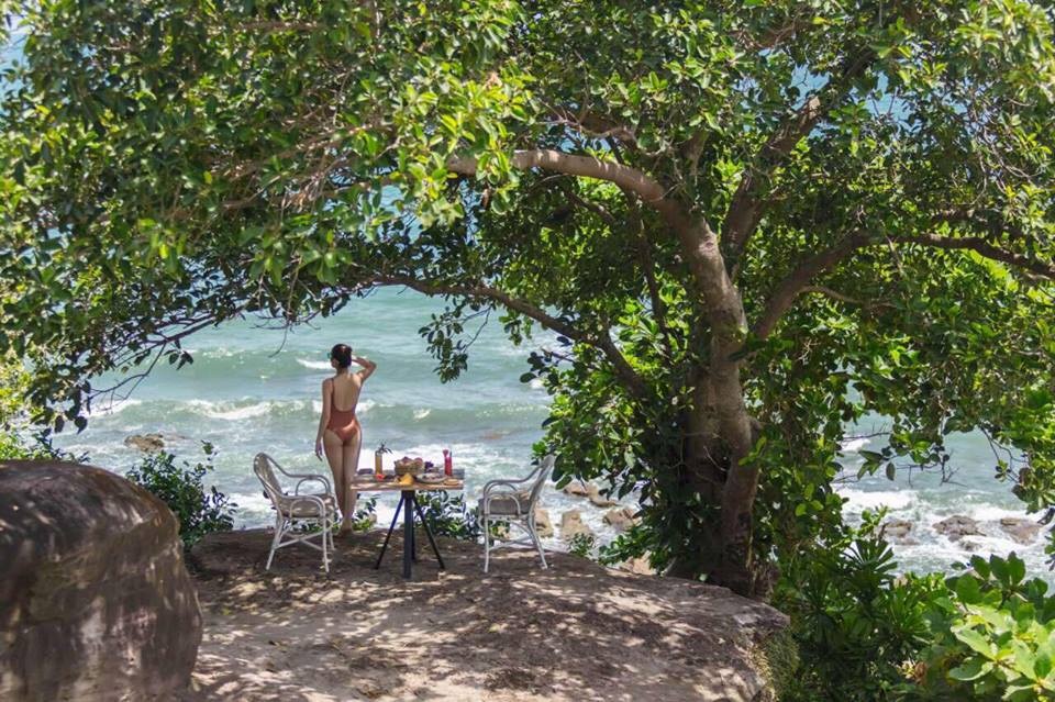 Dùng bữa ăn trên bờ đá sát biển, nơi được che bóng mát bởi những vòm cây cổ thụ