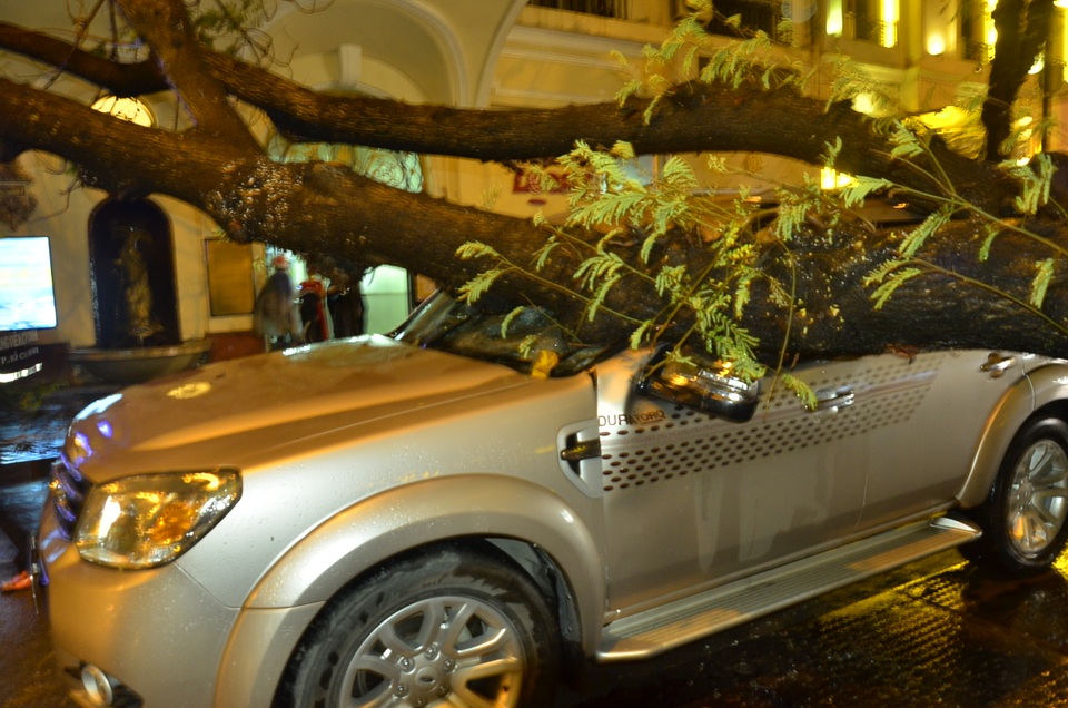 
Một cây xanh bị bật gốc đè chiếc ô tô 7 chỗ trên đường Hai Bà Trưng (phường Bến Nghé, quận 1), rất may tài xế và vợ con trên xe đều an toàn
