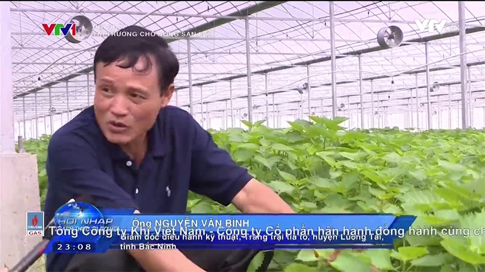 Thị trường mới cho nông sản mới - 2 Thị trường mới cho nông sản mới - 2