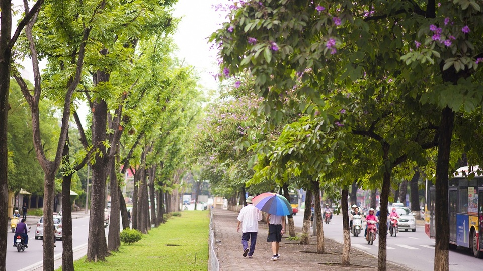 Phố phường Hà Nội lãng mạn với sắc tím bằng lăng - 3