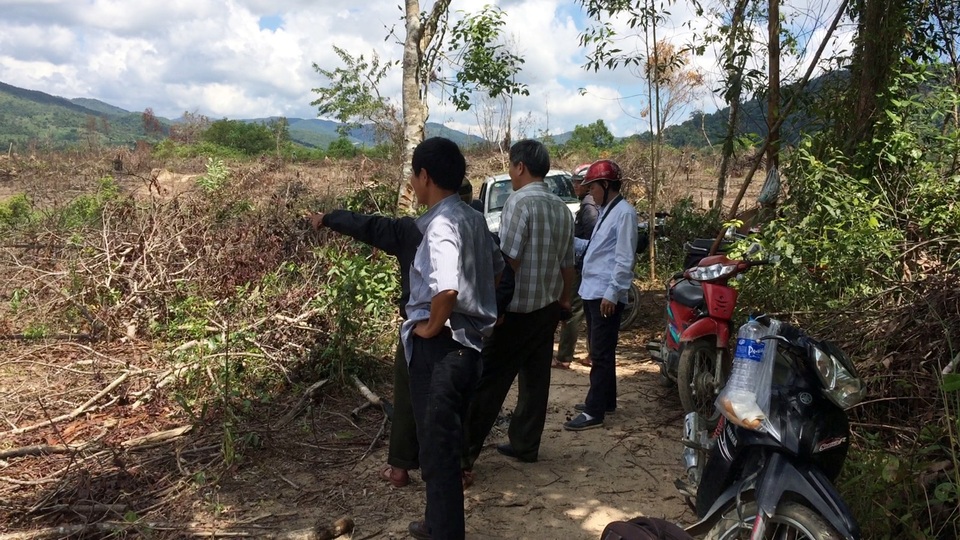 Mượn dự án rừng Flitch để chặt phá rừng tự nhiên - 4
Lực lượng kiểm lâm huyện Sơn Hòa đang kiểm tra hiện trường, đo đạc lại diện tích rừng tự nhiên bị chặt phá