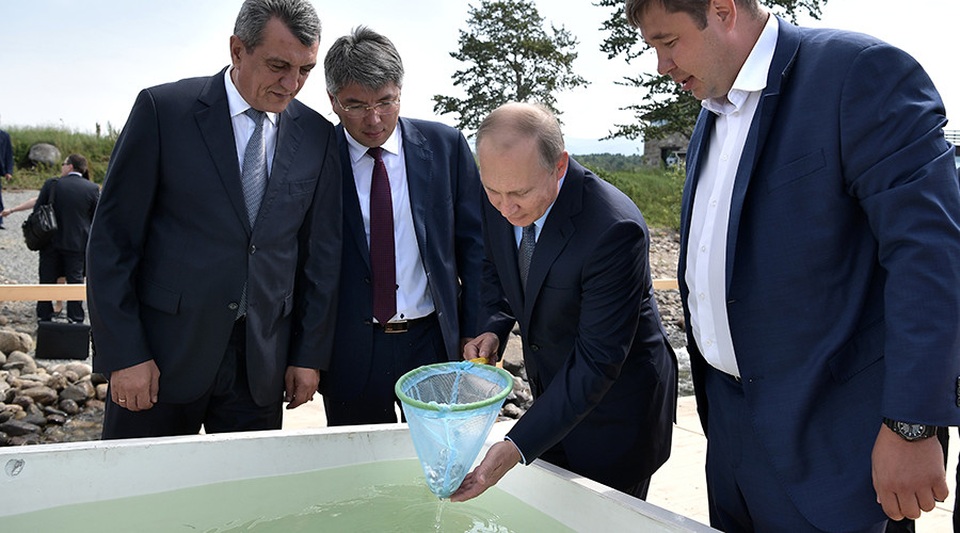Ông Putin không ngại ướt giày, thả 50.000 con cá xuống hồ Baikal - 1
Tổng thống Nga Putin tham gia thả cá ở hồ Baikal. (Ảnh: Sputnik)