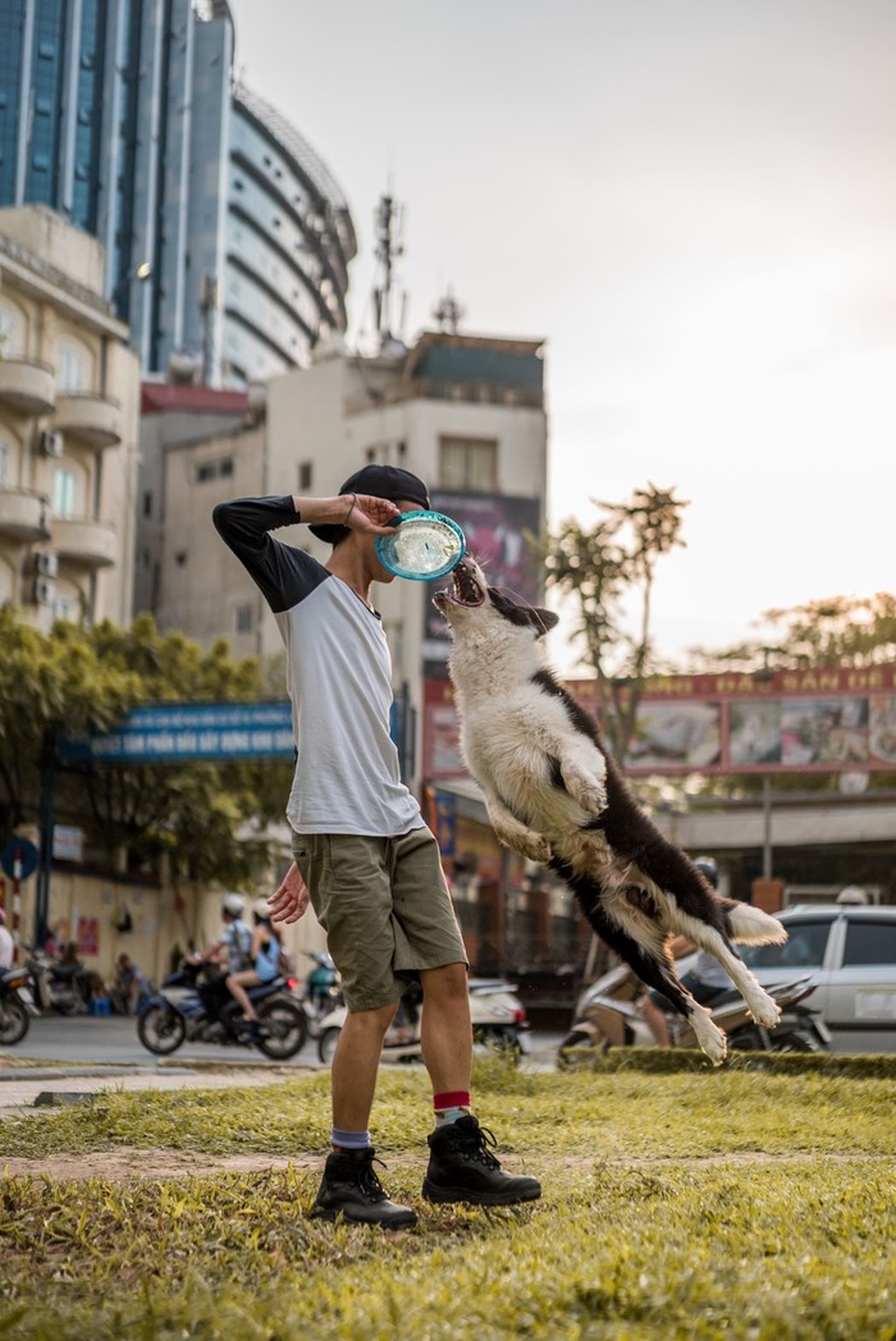 Chàng trai tuổi 17 đỗ trường ĐH thuộc top 5 tốt nhất nước Mỹ - 5
Chú chó đáng yêu mà em đã huấn luyện được 4 năm.