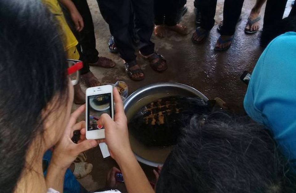 Làm lễ thả rùa “khủng” vân vàng về sông Lam - 2