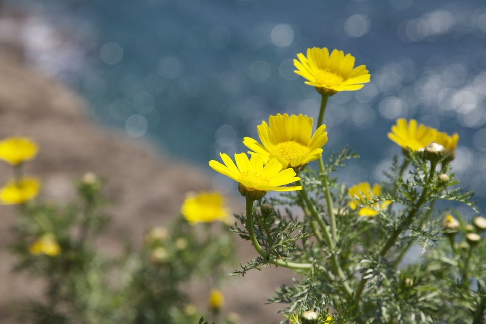 8 thói quen giúp bạn "đổi đời" - 2