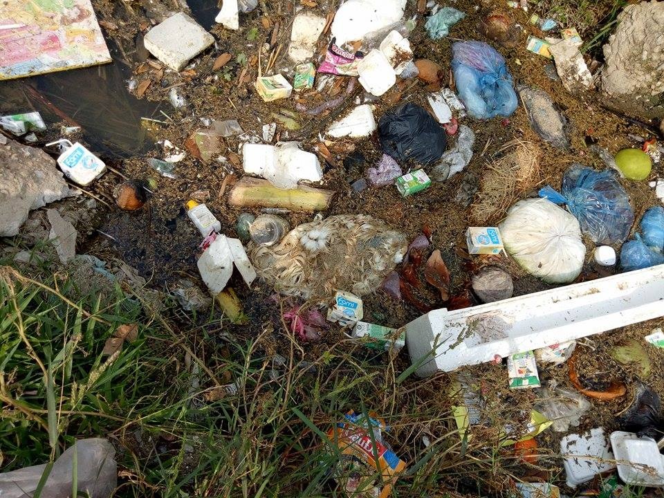 Đủ thứ loại rác thải, xác động vật chết ứ đọng tại kênh B27, đoạn qua phố Thành Yên