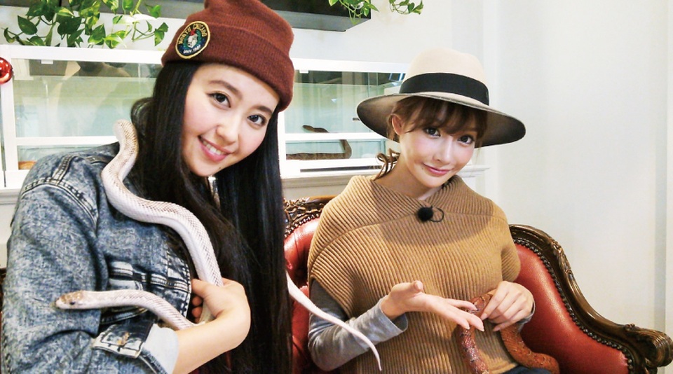 Rợn người xem cảnh vừa uống café vừa... nghịch rắn - 4