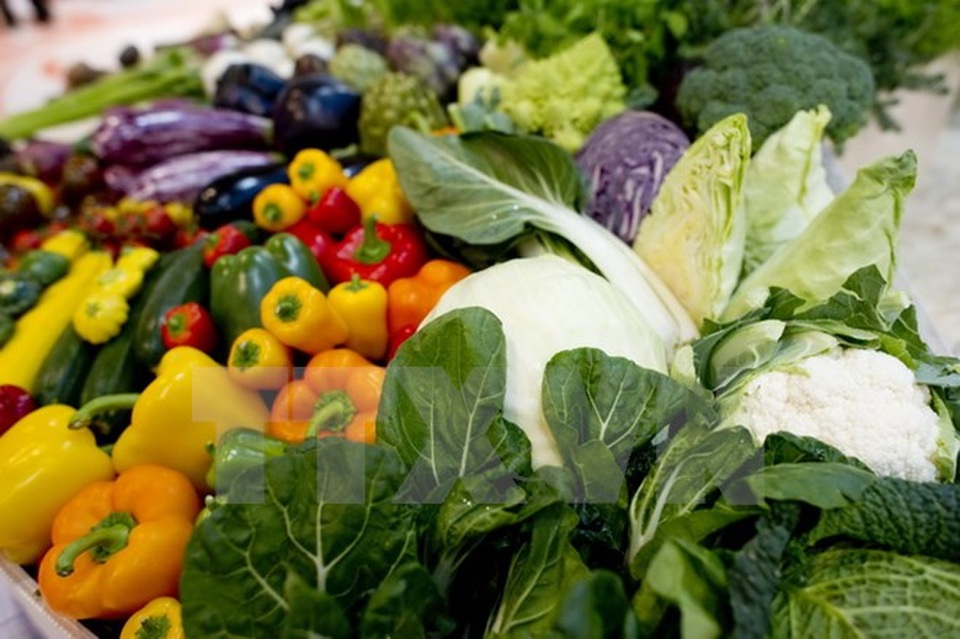 Đột phá: Vitamin B3 giúp ngăn chặn dị tật thai nhi và sảy thai - 1