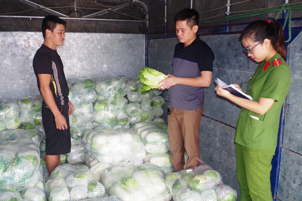 Bị phạt 3 triệu đồng vì bán 2 tấn rau Trung Quốc không rõ nguồn gốc - 1 Số lượng rau không rõ nguồn gốc trên xe tải (ành: Công an Hà Nam)
