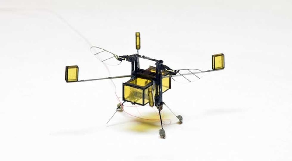 Rô-bốt ong phiên bản mới với nhiều cải tiến - 1 Rô-bốt ong phiên bản mới với nhiều cải tiến - 1
