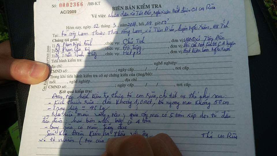 Cận cảnh rùa biển nặng gần 1 tạ "vướng lưới" ngư dân - 2
Biên bản bàn giao rùa biển 1 tạ mà ngư dân bắt được để cơ quan chức năng thả rùa về môi trường thiên nhiên