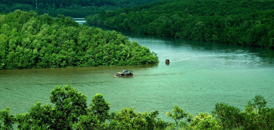 “Tuần Văn hóa Du lịch Di sản xanh - Nơi gặp gỡ con người và thiên nhiên” - 3 Rừng ngập mặn Cần Giờ - TP.HCM.