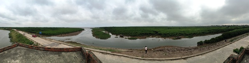 Ngắm khu rừng ngập mặn có thể bị phá bỏ để làm dự án - 1 Toàn cảnh khu vực rừng ngập mặn nằm ở 2 xã Thụy Hải và Thụy Xuân, huyện Thái Thụy