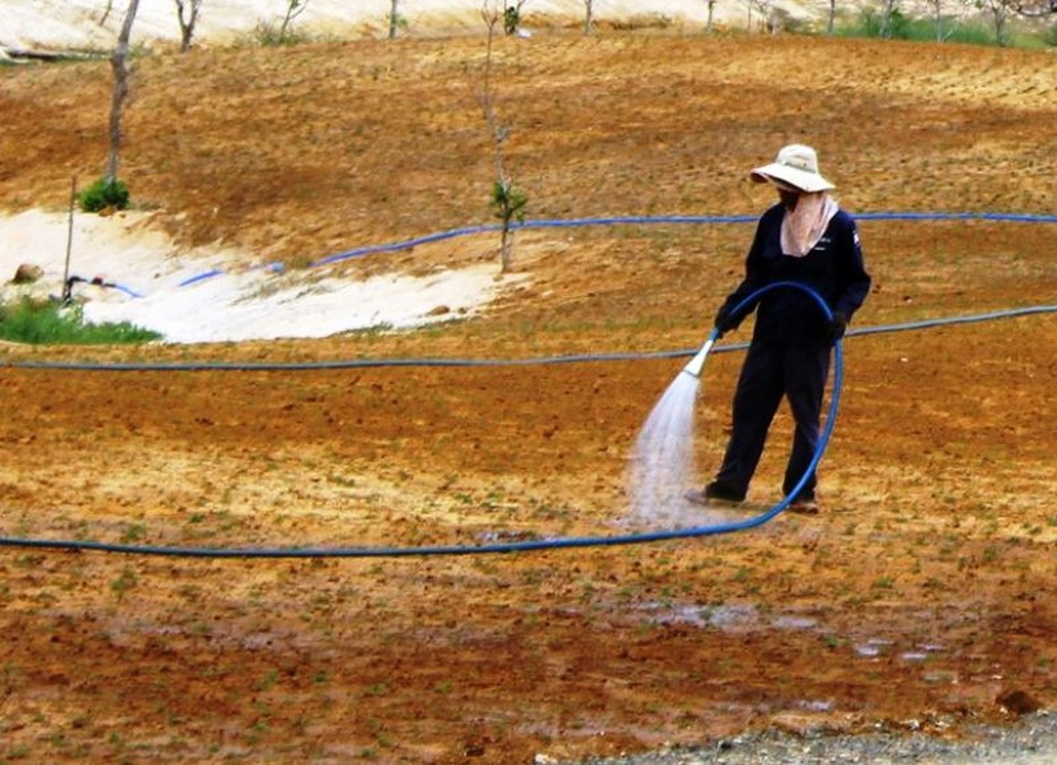 Cận cảnh đại công trường phá rừng để... kịp thi hoa hậu - 9
Một công nhân đang tưới nước cho cỏ sân golf.