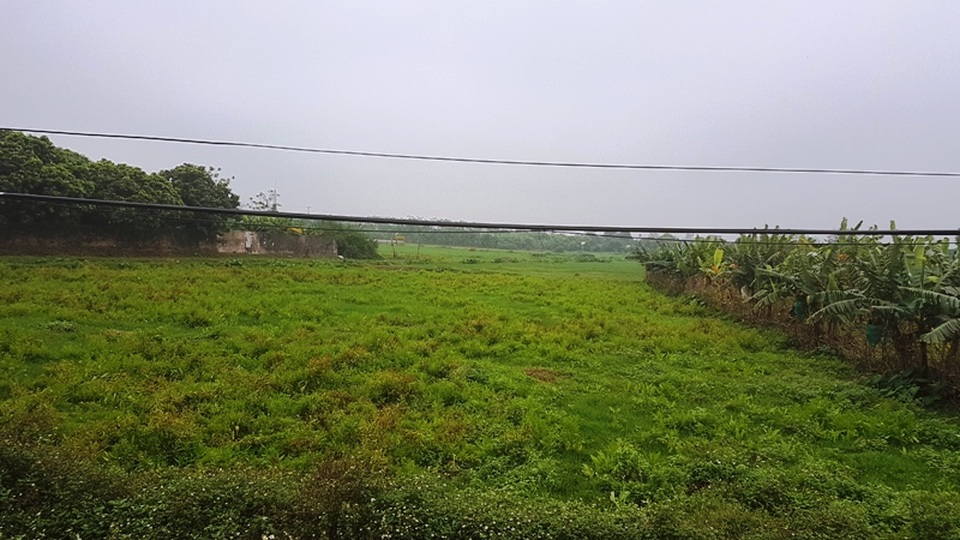 “Thủ phủ” nuôi lợn miền Bắc lao đao trong cơn “bão giá” - 6 Diện tích ruộng đồng bỏ hoang ở Ngọc Lũ là rất nhiều, người dân ở đây chủ yếu là chăn nuôi lợn