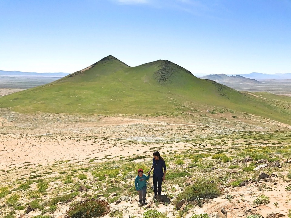 Mưa biến hoang mạc ở Chi-lê thành thiên đường hoa - 2
Sa mạc Atacama được xem làm một trong những nơi khô cằn nhất trên Trái Đất, lượng mưa trung bình ở đây chỉ đạt khoảng 15mm/năm.