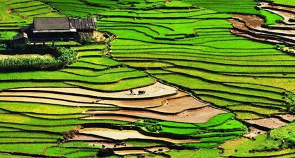 Chỉ điểm những "chốn ăn, chơi" ở Sa Pa - 3 Ruộng bậc thang đẹp nhất vào tháng 4 và tháng 9.