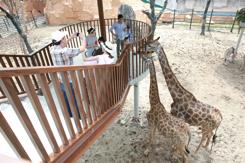 Ngắm động vật hoang dã bằng du thuyền ngay giữa lòng Hà Nội - 1