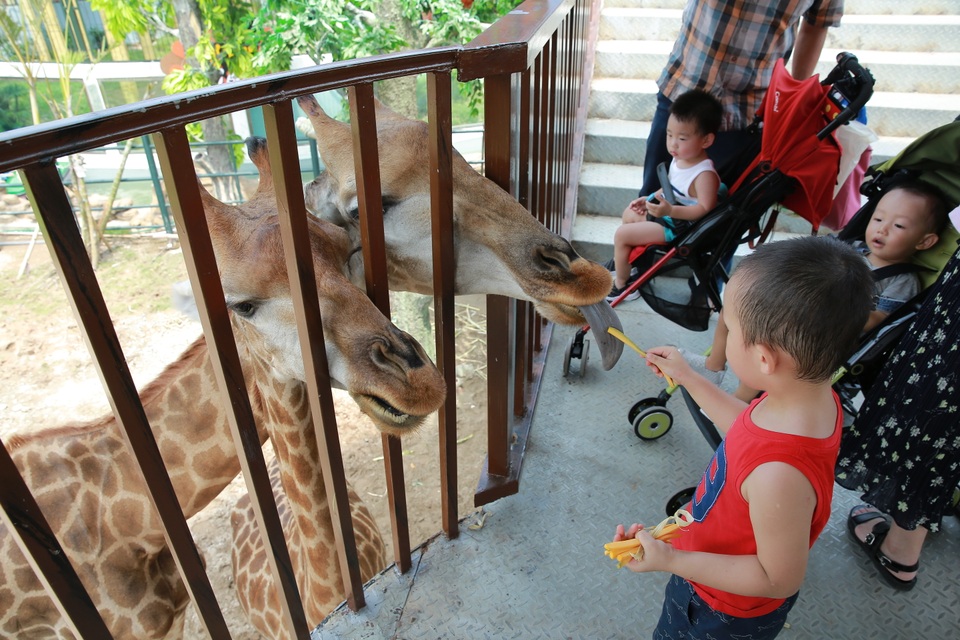 Thế giới hoang dã với rất nhiều chủng loại động vật khác nhau có nguồn gốc từ Nam Phi và Bắc Mỹ như: Ngựa Vằn, Hổ Trắng, Sư Tử Trắng, Linh Cẩu Đốm, Báo Cheetah... sẽ giúp người dân Hà Nội lắng nghe từng hơi thở, âm thanh của thiên nhiên, ngắm nhìn thế giới muôn loài bằng hình thức du thuyền trên sông.