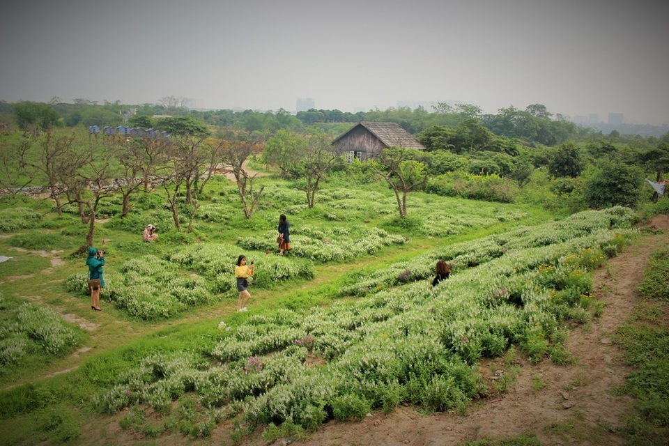 “Săn” những điểm chụp ảnh cực phong cách tại Hà Nội - 1