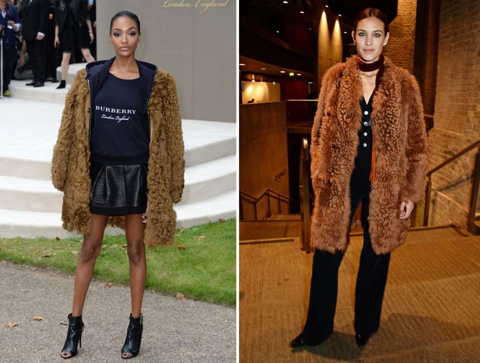 Khi sao Hollywood bị phát hiện mặc chung quần áo - 29
Jourdan Dunn (trái) và Alexa Chung cùng diện áo lông thú giống nhau nhưng kết hợp với kiểu trang phục khác nhau.