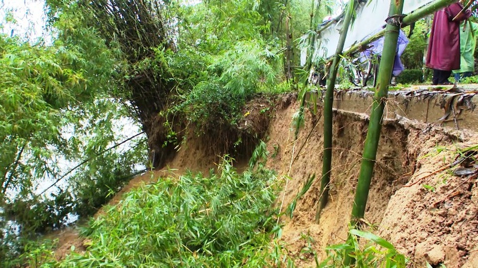 Phấp phỏng sống bên bờ sông bị sạt lở nghiêm trọng - 1 Sạt lở đã ăn sâu vào sát đường bê tông dân sinh