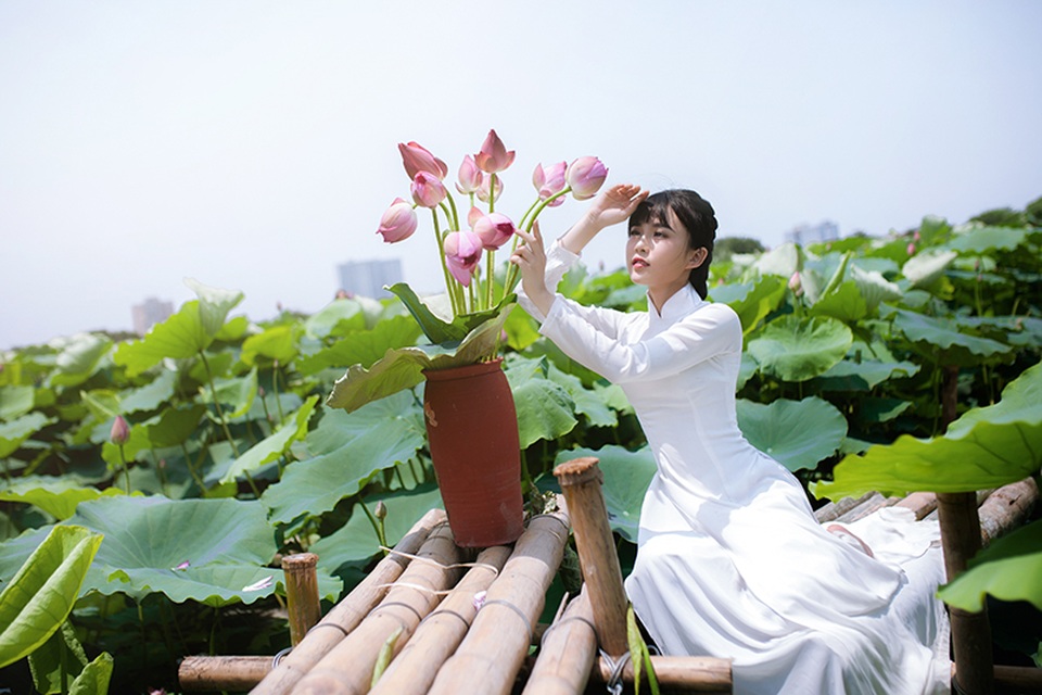 Nữ sinh Bưu chính viễn thông thích đọc sách, yêu hoa sen - 12 Nữ sinh Bưu chính viễn thông thích đọc sách, yêu hoa sen - 12