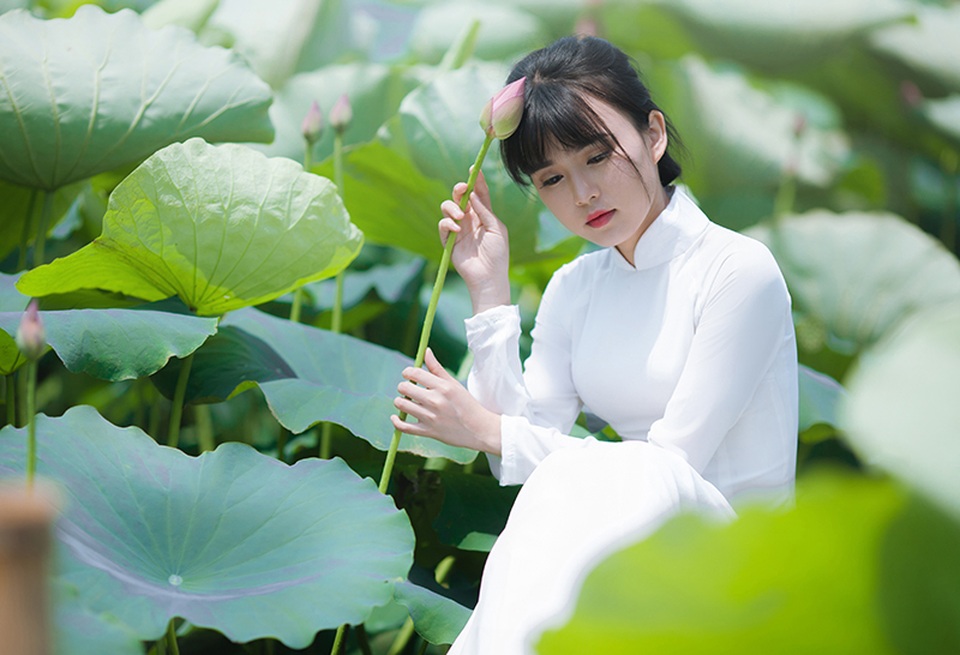 Nữ sinh Bưu chính viễn thông thích đọc sách, yêu hoa sen - 9 Nữ sinh Bưu chính viễn thông thích đọc sách, yêu hoa sen - 9
