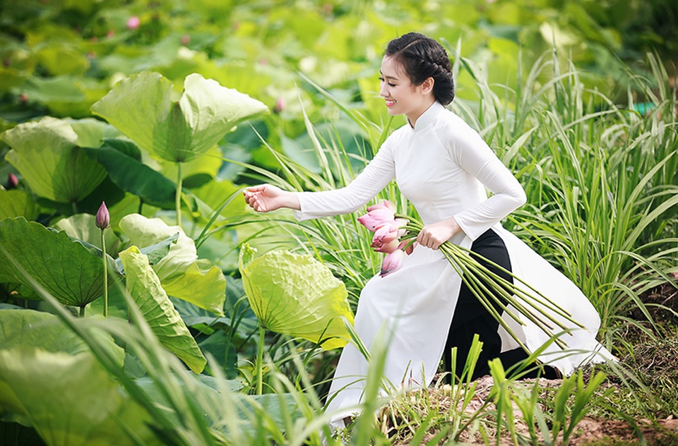 Dịu dàng áo dài trắng giữa đầm sen mùa hạ - 4 Bộ ảnh tôn vinh vẻ đẹp của loài hoa được người dân xem như quốc hoa của đất nước cùng với vẻ đẹp của người phụ nữ truyền thống.