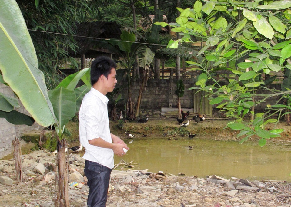 Bố trí việc làm cho sinh viên cử tuyển: Khi cung đã vượt xa cầu - 1
Không ít cử nhân miền núi Nghệ An không được bố trí việc làm, đành ở nhà chăn nuôi phụ giúp bố mẹ (ảnh Hoàng Tùng).