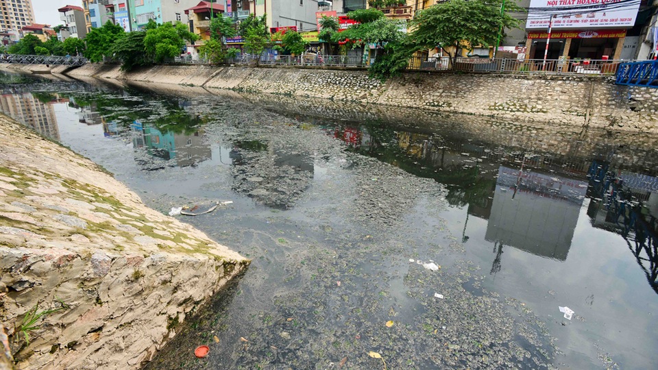 Hình ảnh những dòng sông "đen" sắp được "hồi sinh" ở Hà Nội - 12
Rác, rong rêu ô nhiễm phủ một lớp dày trên mặt sông Lừ.
