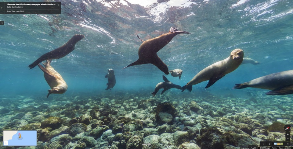 
Đảo Galápagos Islands ở Ecuador.
