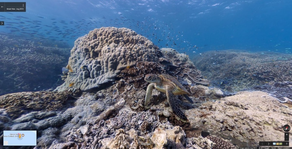 
Dưới đáy đại dương ở hòn đảo Heron Island, Great Barrier Reef, Úc.
