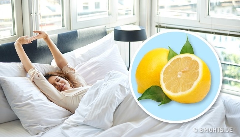 Lý do bạn nên đặt một miếng chanh trong phòng ngủ mỗi ngày - 1 Lý do bạn nên đặt một miếng chanh trong phòng ngủ mỗi ngày - 1