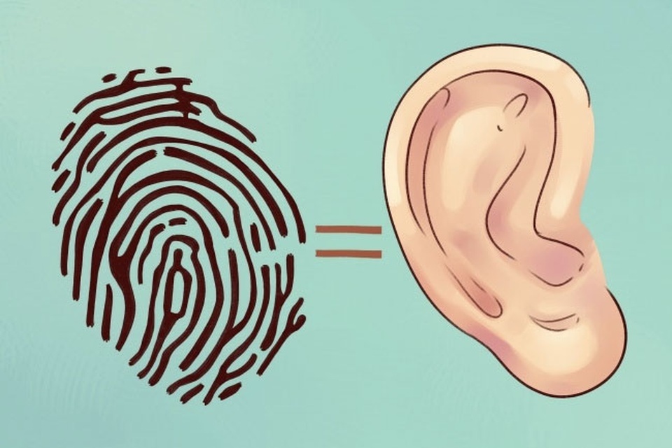 Tai bạn tiết lộ điều gì? - 1 Tai bạn tiết lộ điều gì? - 1
