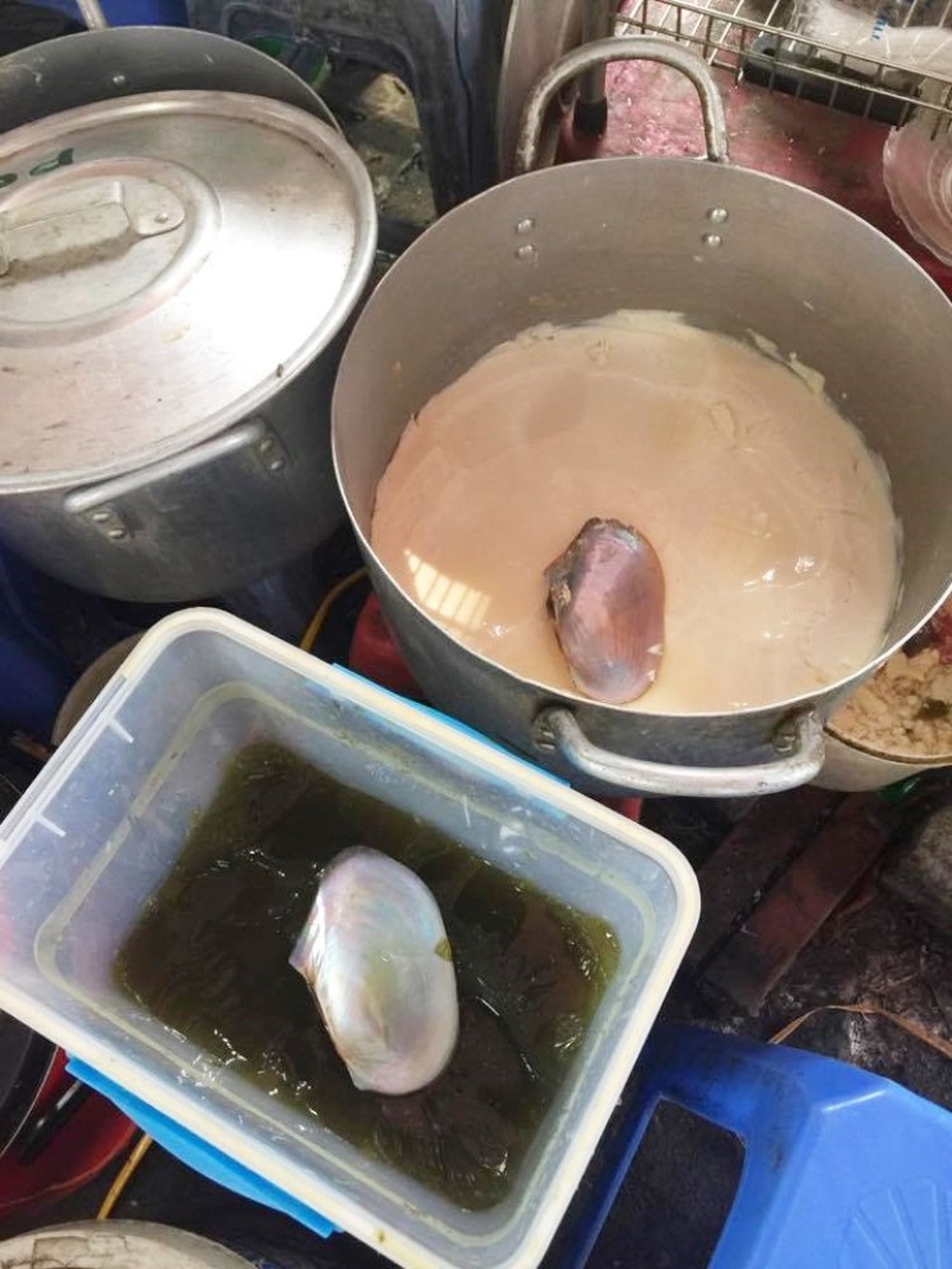 Nắng nóng đỉnh điểm, hàng tào phớ, nước giải khát... “đuổi không hết khách” - 1 Hai món tào phớ và thạch găng vô cùng đắt khách trong những ngày hè.