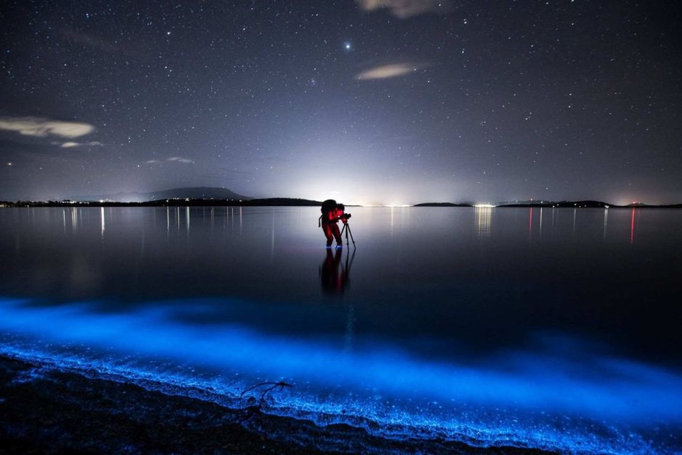 Khoảnh khắc kỳ diệu khiến người ta liên tưởng tới các thước phim viễn tưởng trong Avatar