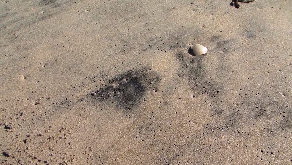 Tìm cách giải cứu tàu chở 3.000 tấn than mắc kẹt 1 tháng tại Huế - 2 Những vệt than trên bãi biển Hải Dương - Thuận An