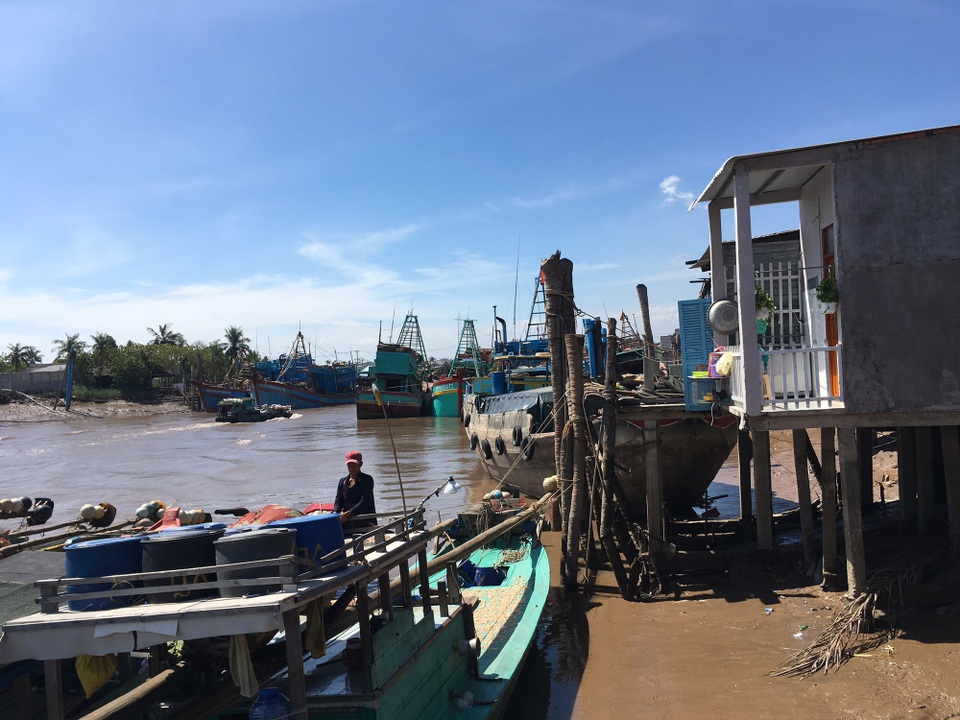 Cho học sinh nghỉ học để tránh bão - 1
Các tàu cá ở huyện Bình Đại Bến Tre đã được di chuyển về nơi neo đậu an toàn