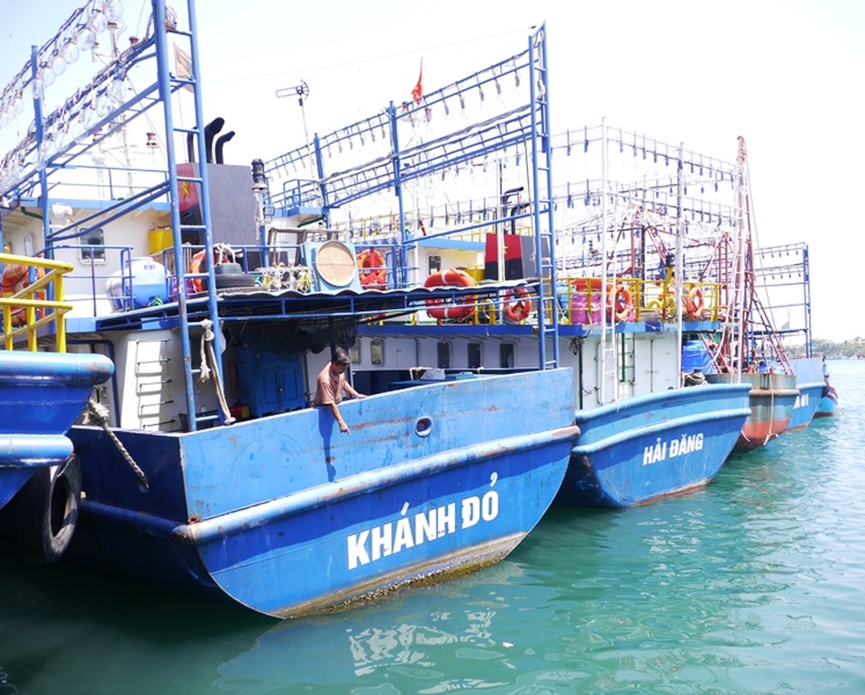 Công ty đóng tàu đổ lỗi do ngư dân bảo dưỡng không phù hợp - 2 Hàng loạt tàu cá vỏ thép của ngư dân Bình Định vừa hạ thủy không lâu đã hư hỏng đang nằm bờ để sửa chữa