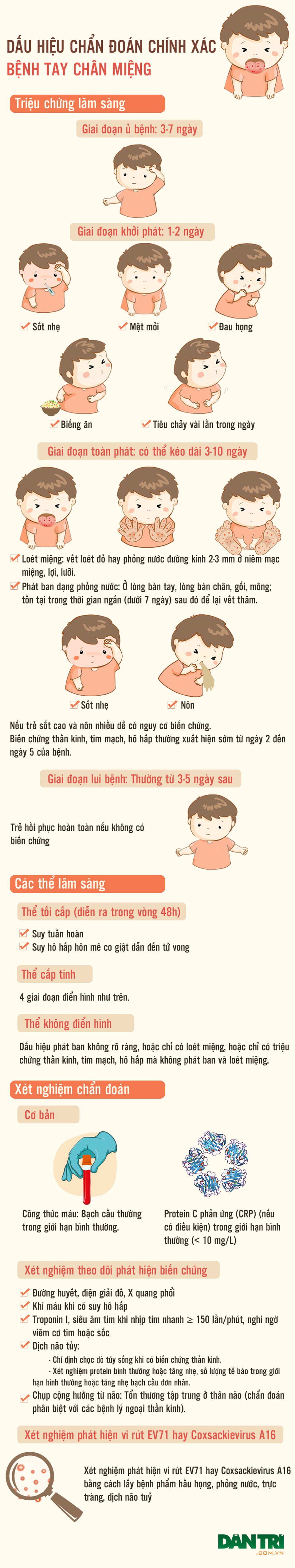 Inforgraphics: Dấu hiệu chẩn đoán chính xác bệnh tay chân miệng - 1 Inforgraphics: Dấu hiệu chẩn đoán chính xác bệnh tay chân miệng - 1